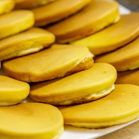 فندق Sant'angelo Palace 4*